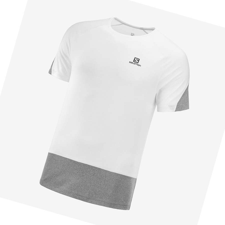 Camiseta Salomon CROSS RUN Hombre Blancos | MX 3228EBC